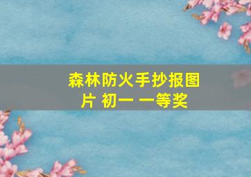 森林防火手抄报图片 初一 一等奖